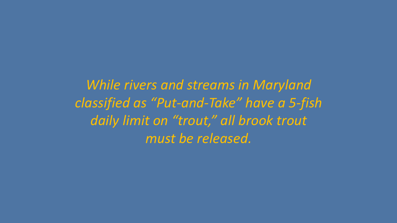 Slide17.PNG