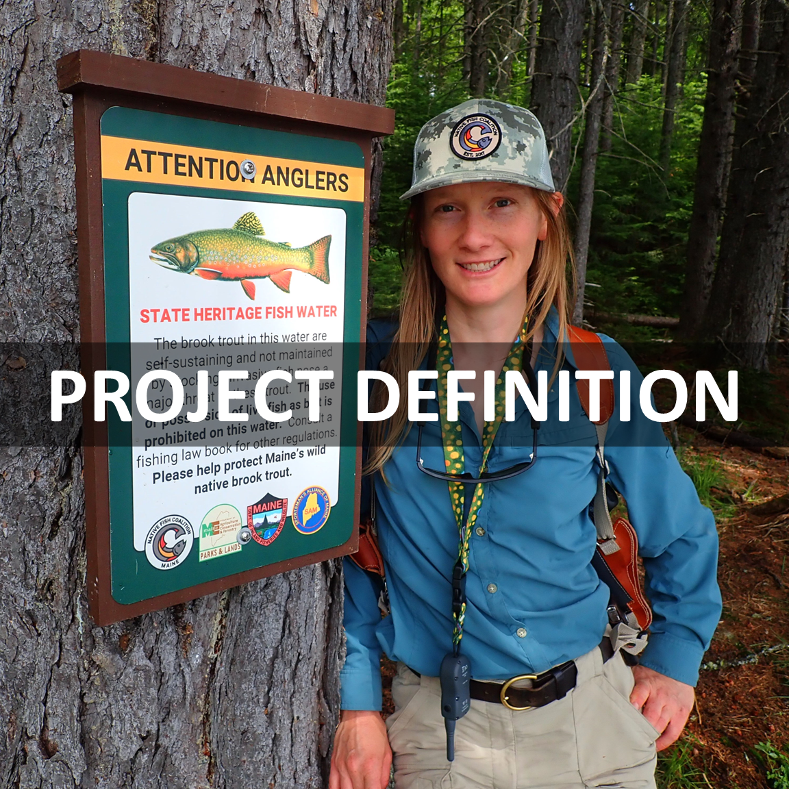 Project Definition
