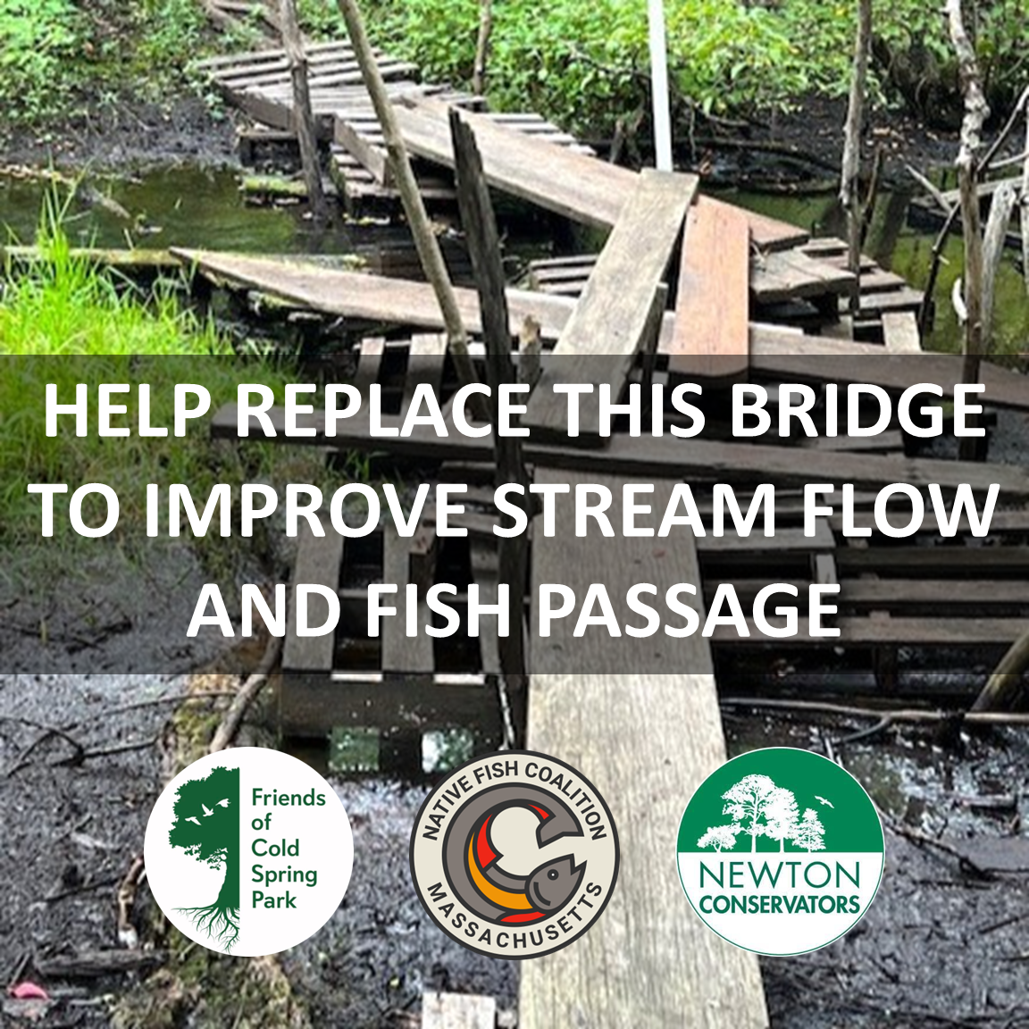 Donate - Cold Spring Brook