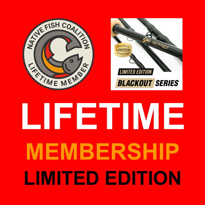 Join-Donate PP.png