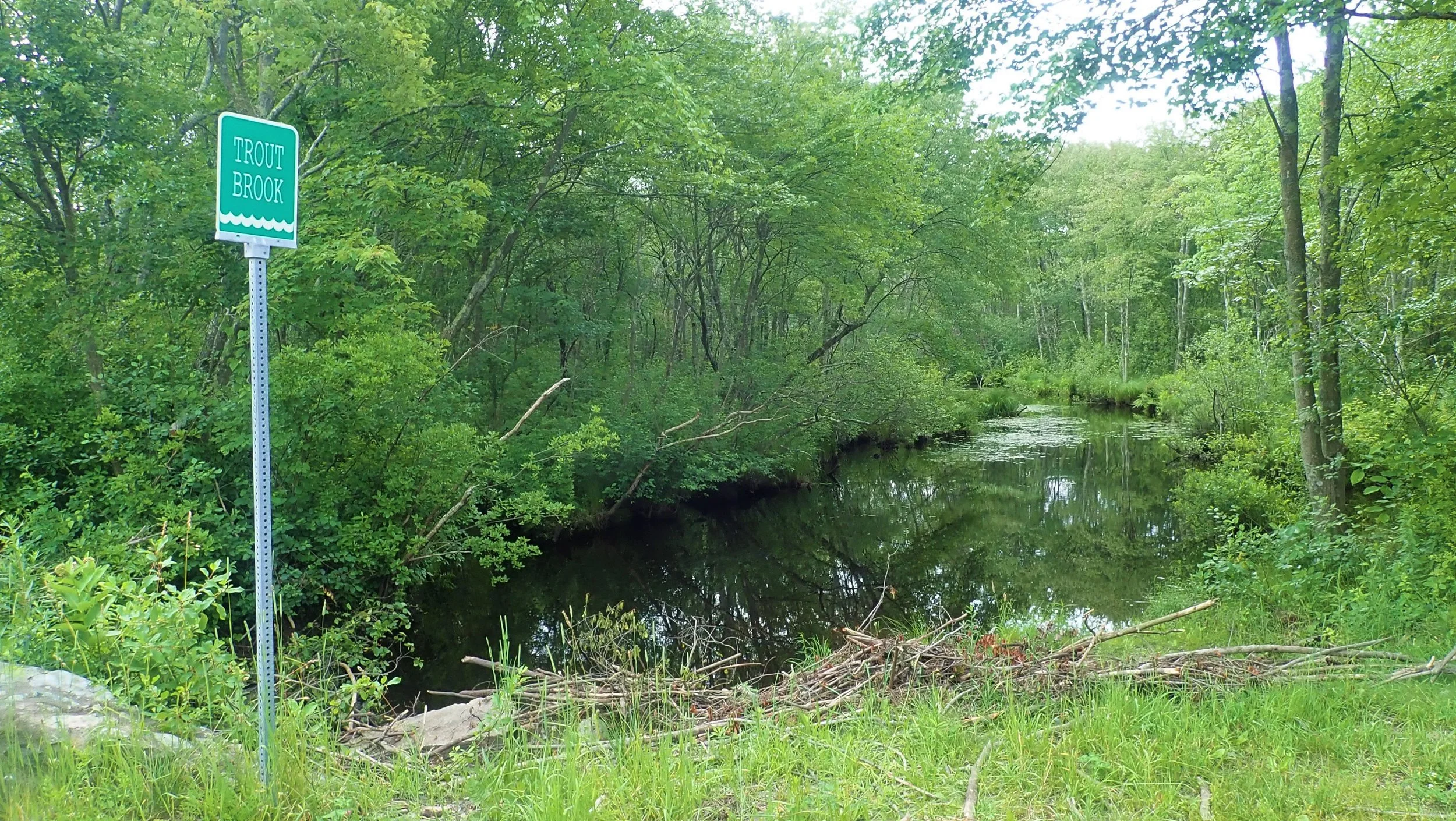 Holistic Stream Assessment/Restoration: Trout Brook - Dover ...