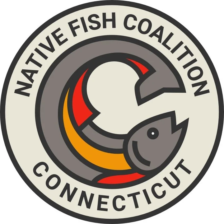 CT Full Color JPG.jpg