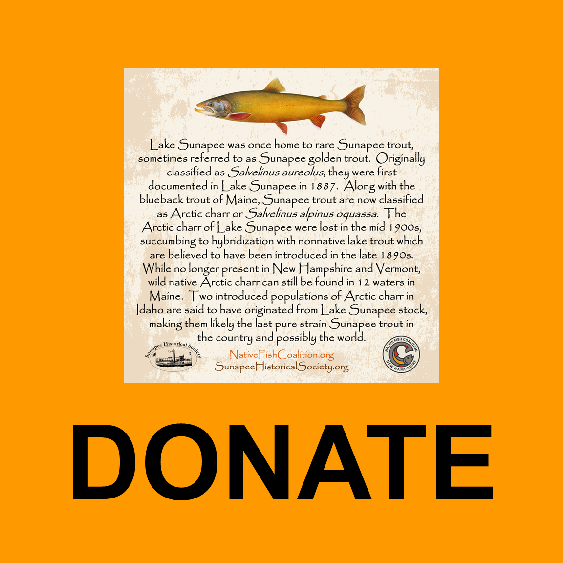 Donate - Project.png