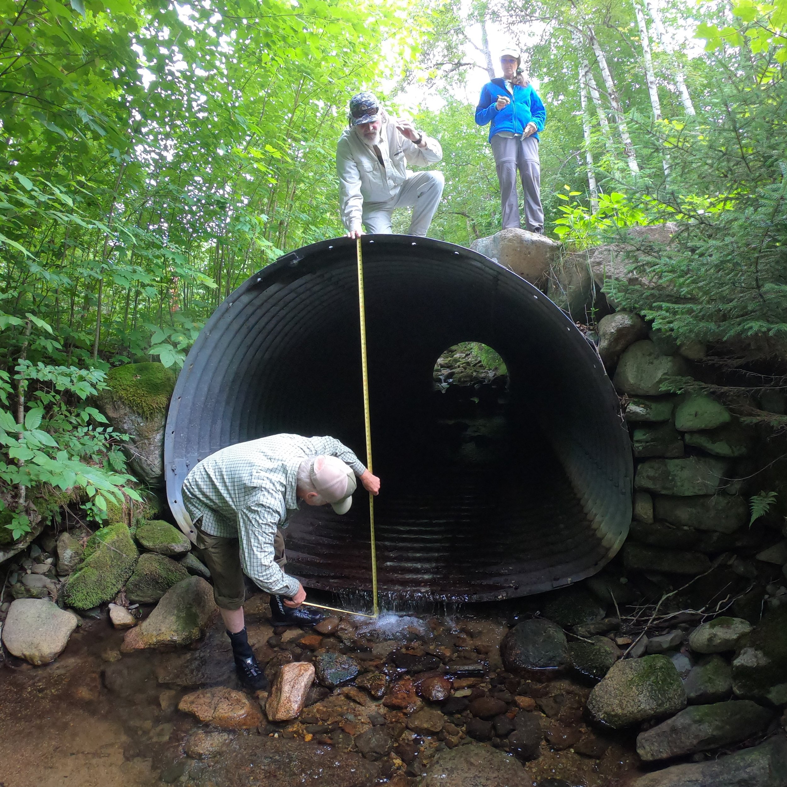 Appleby Brook Culvert - LOW flow (1) 3.JPG