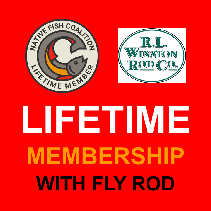 Lifetime Memberships with Fly Rod (Winston)