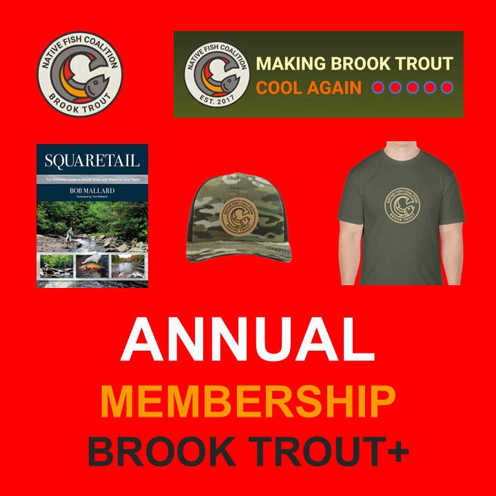 Annual Brook Trout+ Membership