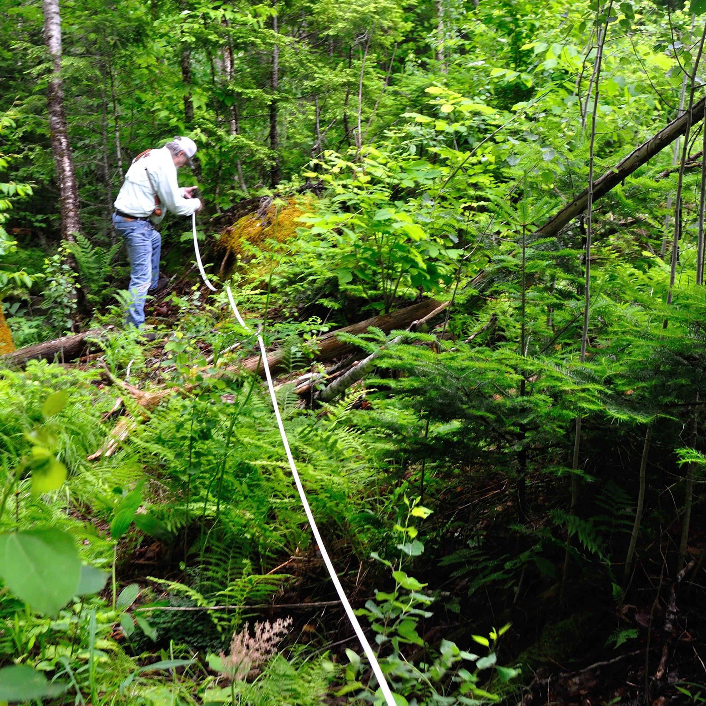 Nove 6 2021_022 2.JPG