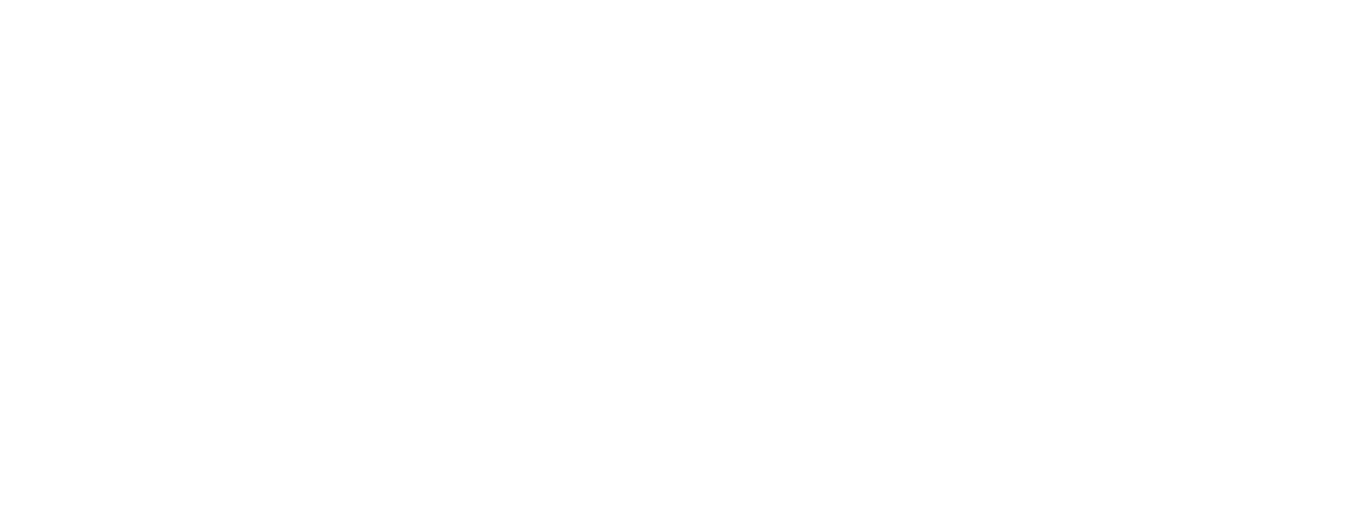 Electrichka: Official Band Website