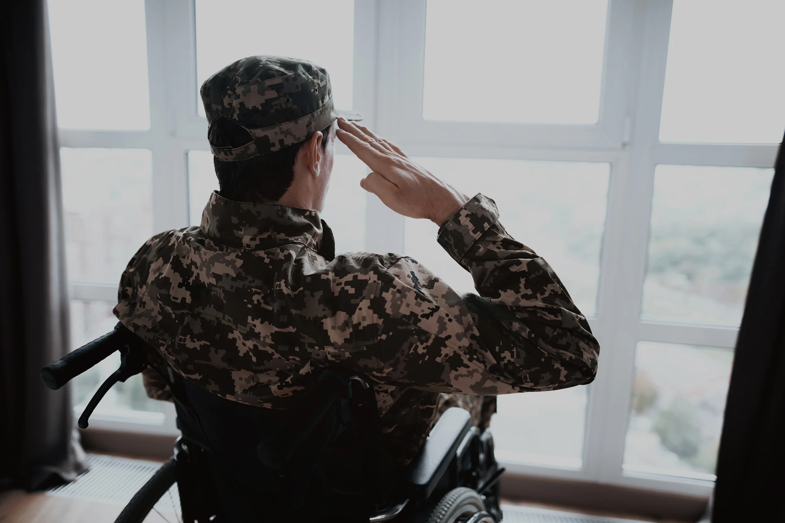 Advance Guard Veteran Hero 3.jpg