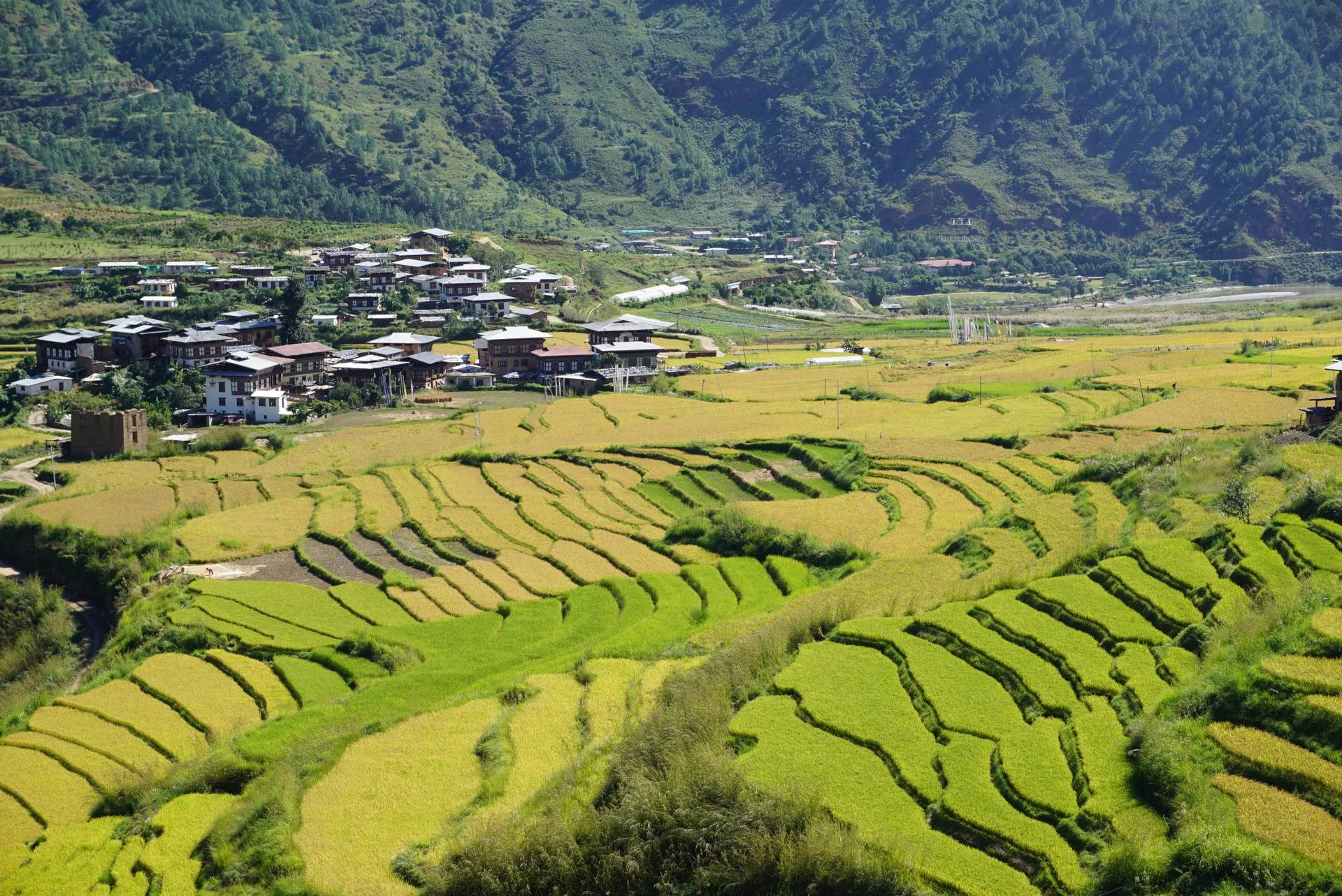 TravelHerWayImage012.jpg