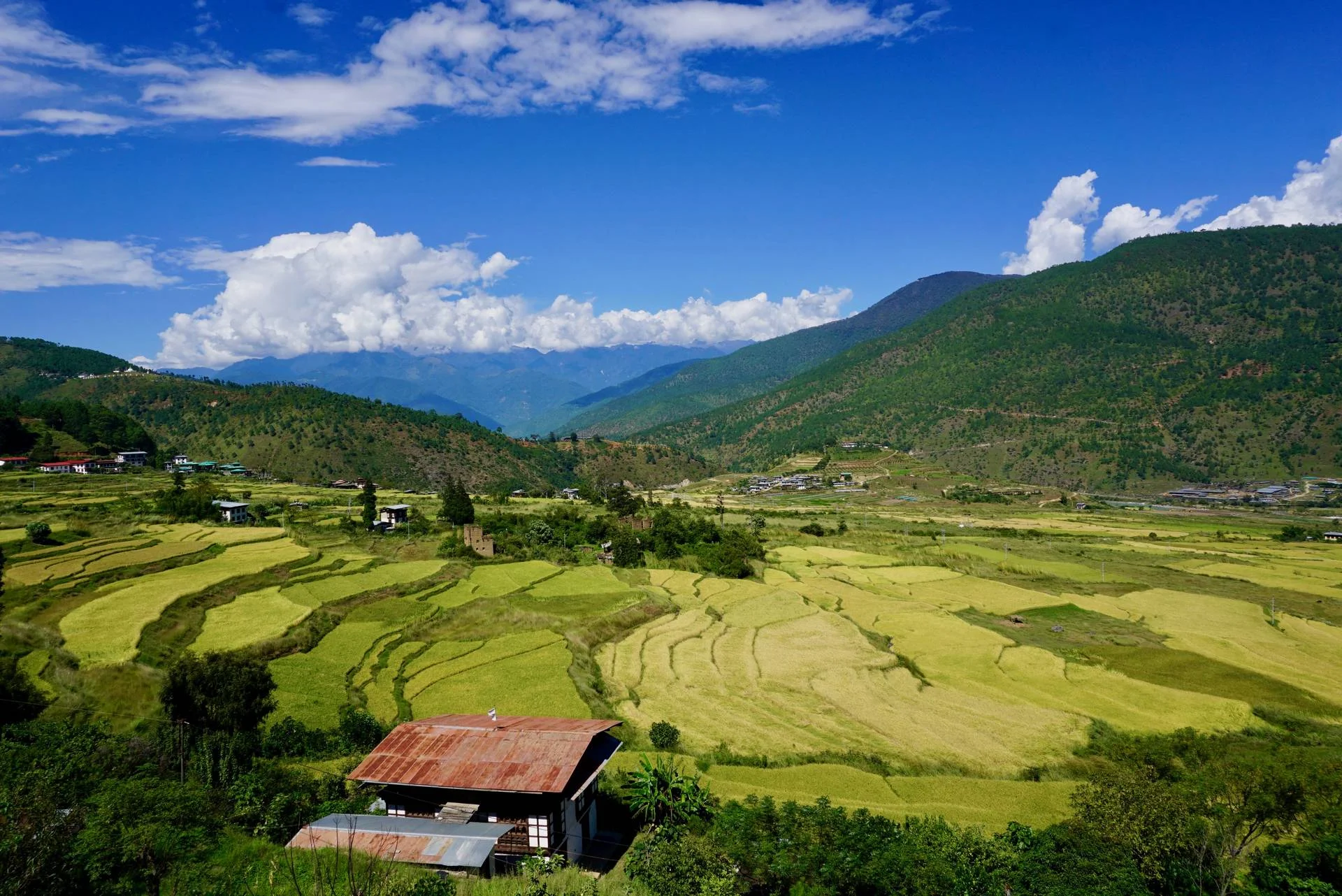 TravelHerWayImage018.jpg