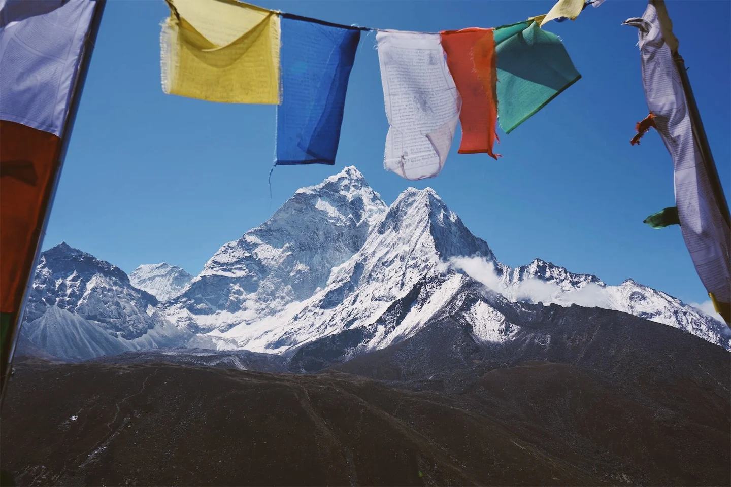 JPEG image-0C7B1395EC2B-2.jpeg