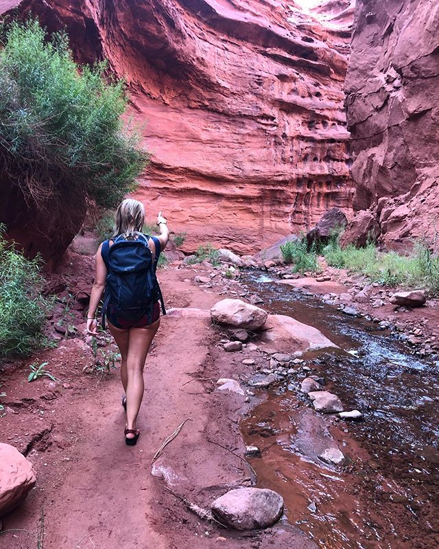 Exploring the deep, bountiful canyons of Utah. This was a trail that we hadn&rsquo;t been able to make time for during our last trips through Moab, but we&rsquo;re so grateful that we made it a priority this time around. 📸: @soweboughtavan