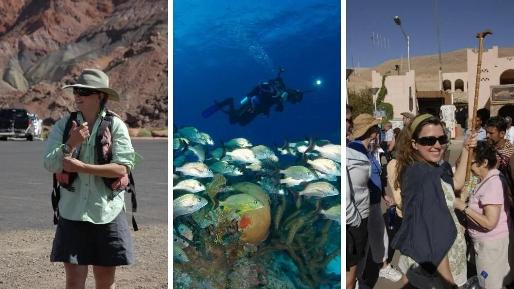 The Wake up call to travel