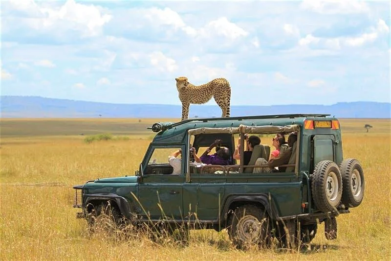 masai-mara-safari.jpg