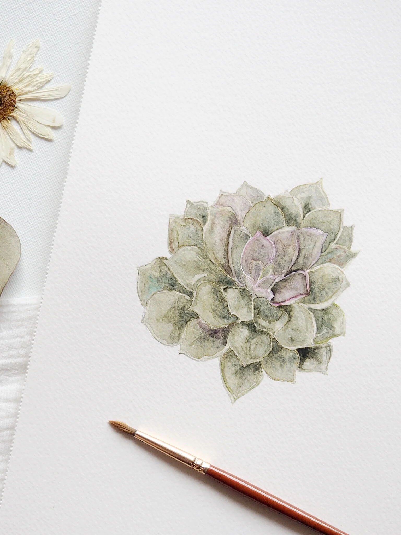 Watercolor Tutorial - Succulents