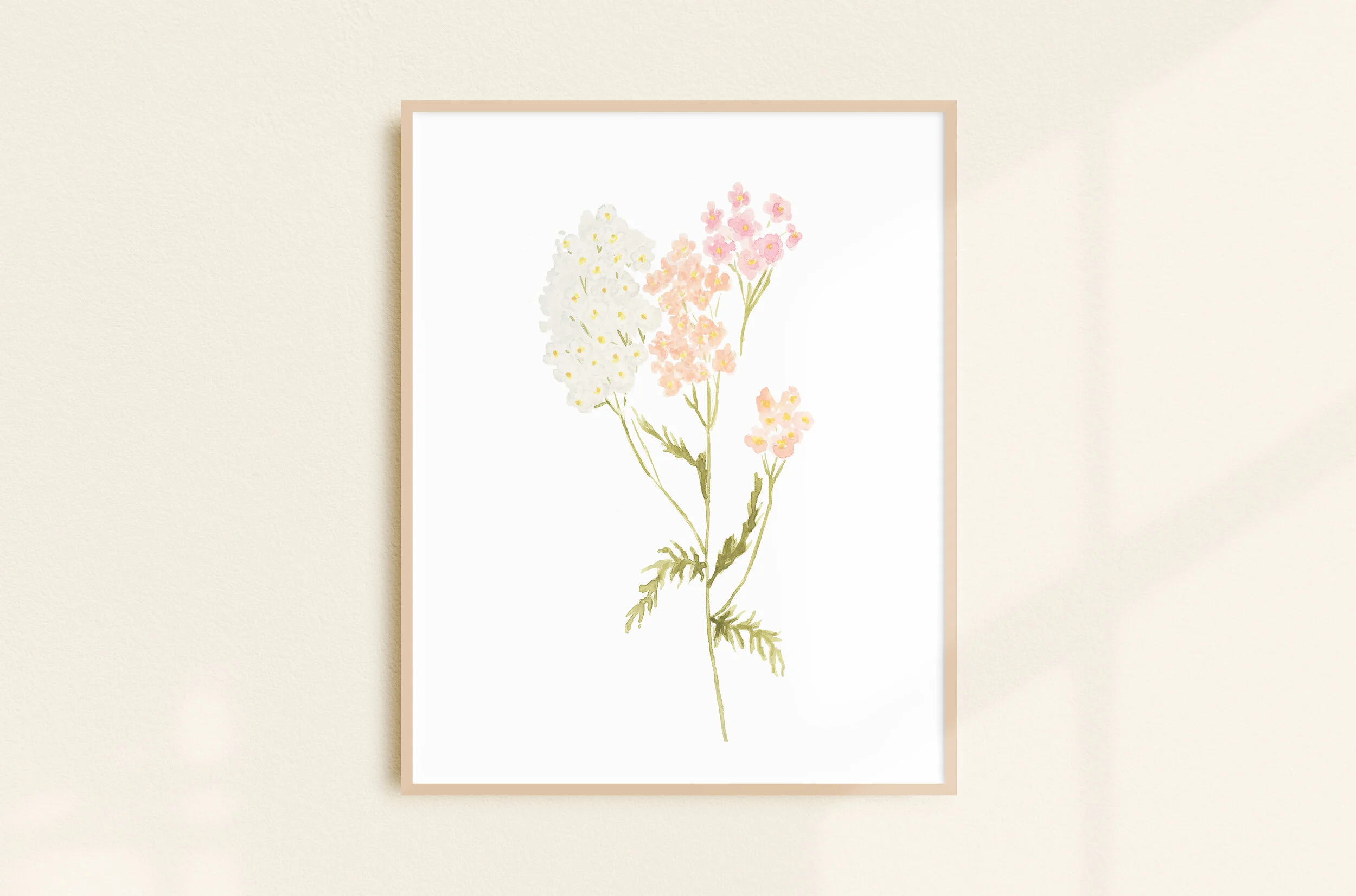 Yarrow