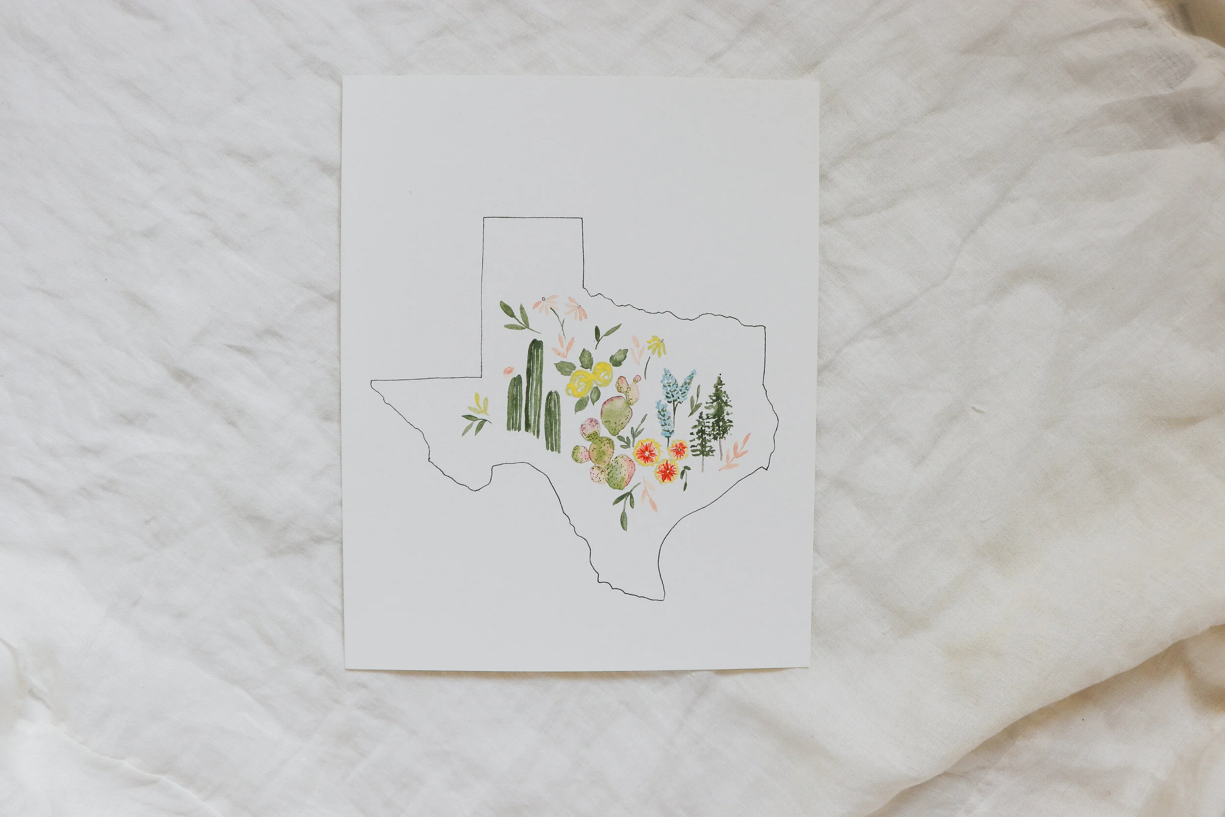 Texas Wildflowers