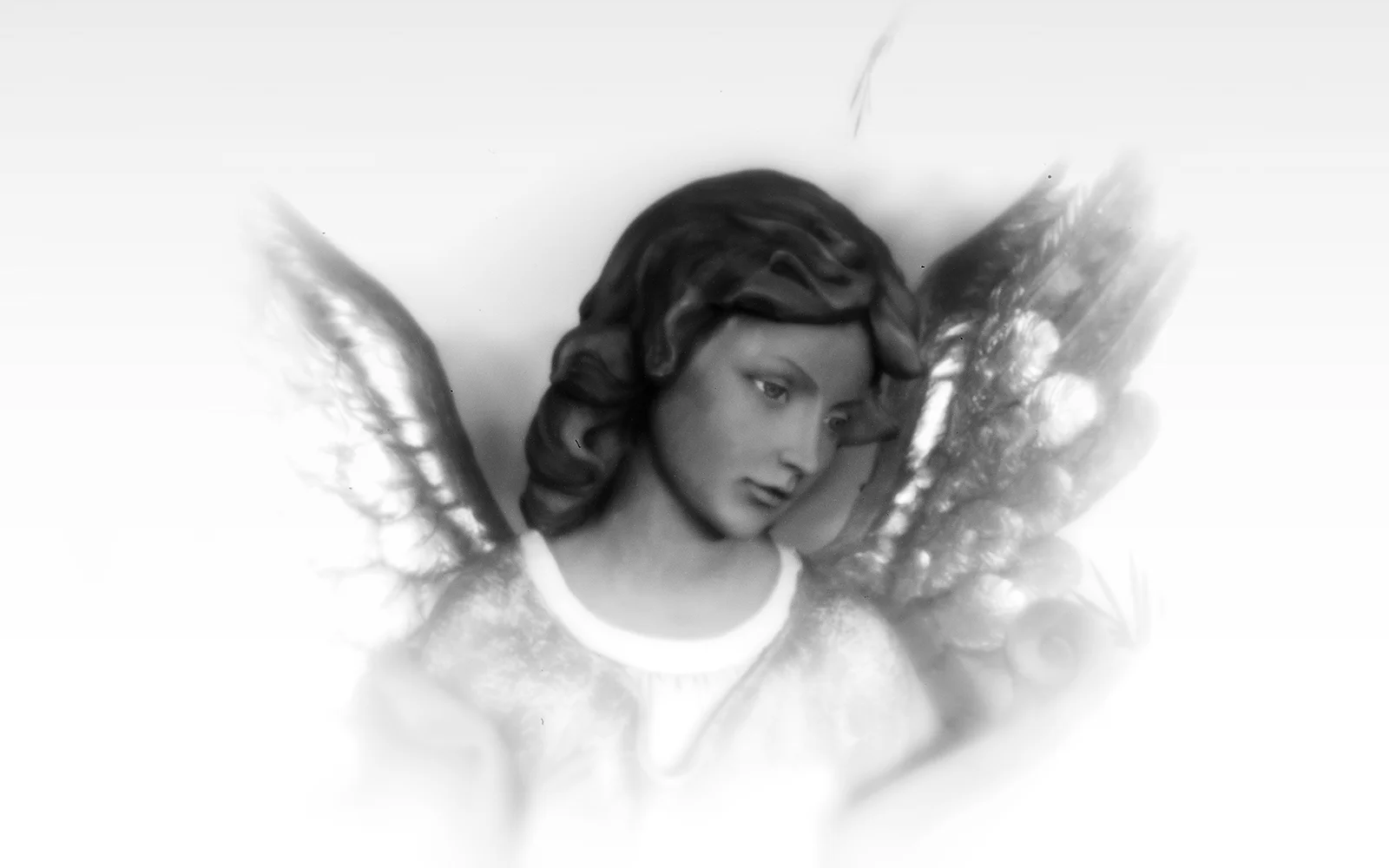 angel4.jpg