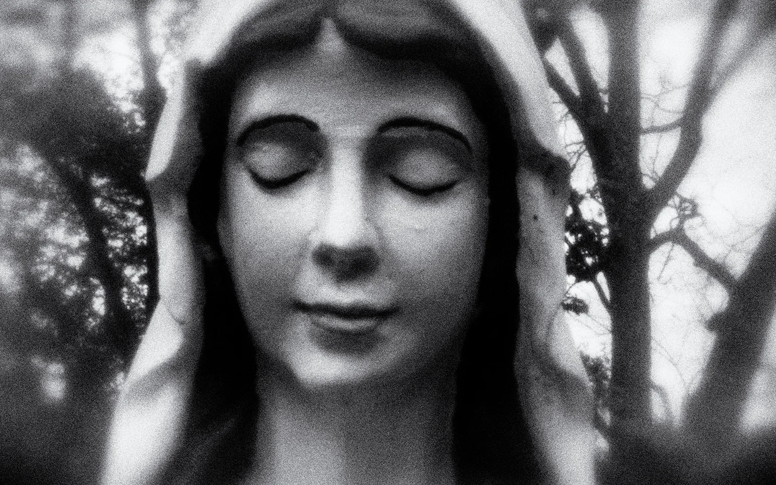 mary2.jpg