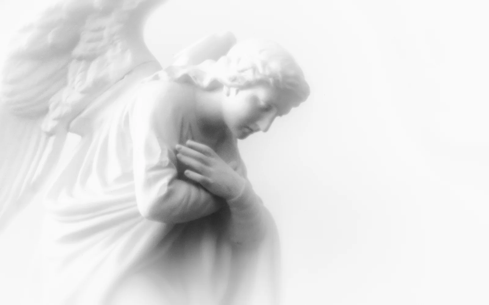 angel7.jpg