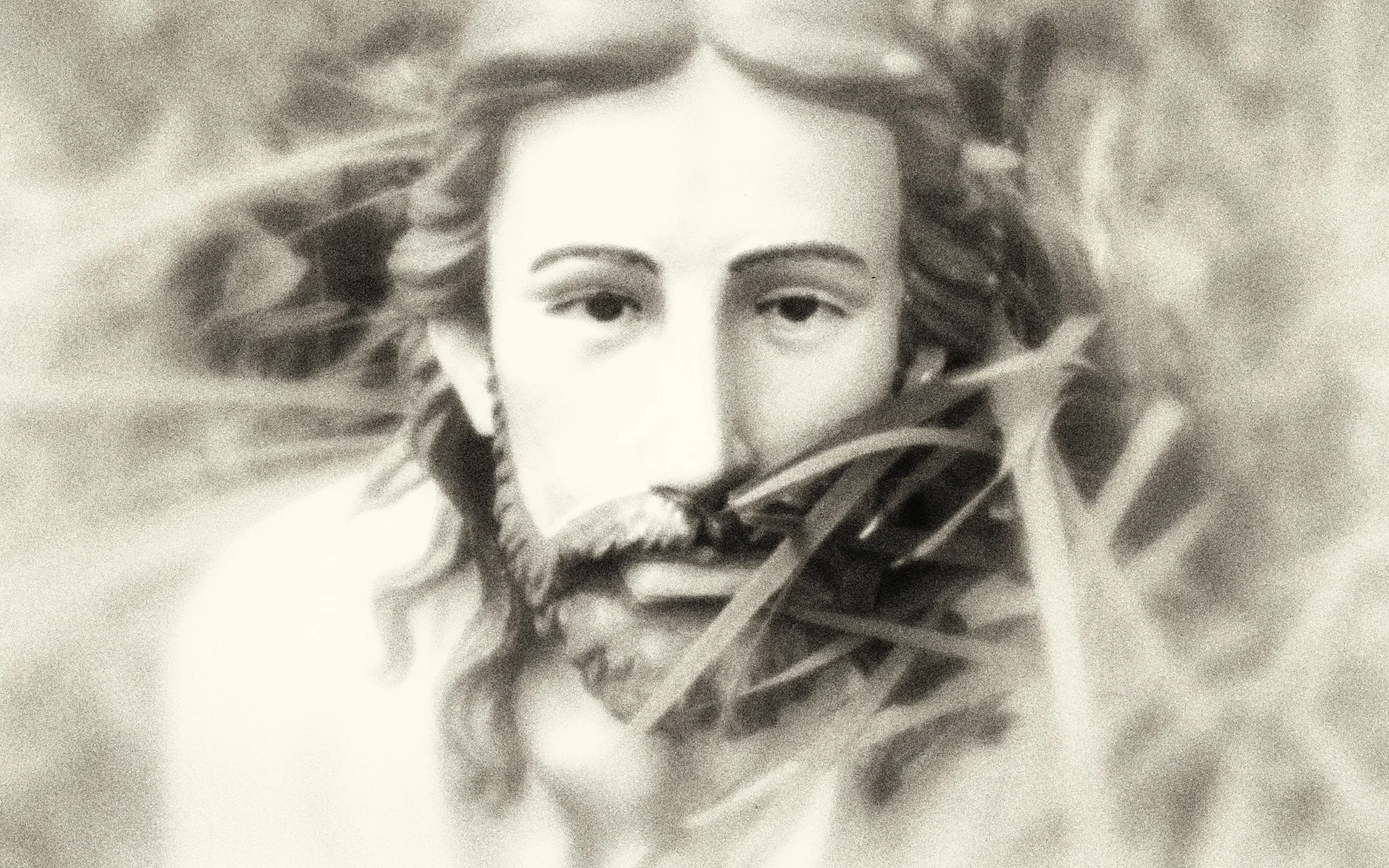 jesusinweeds.jpg