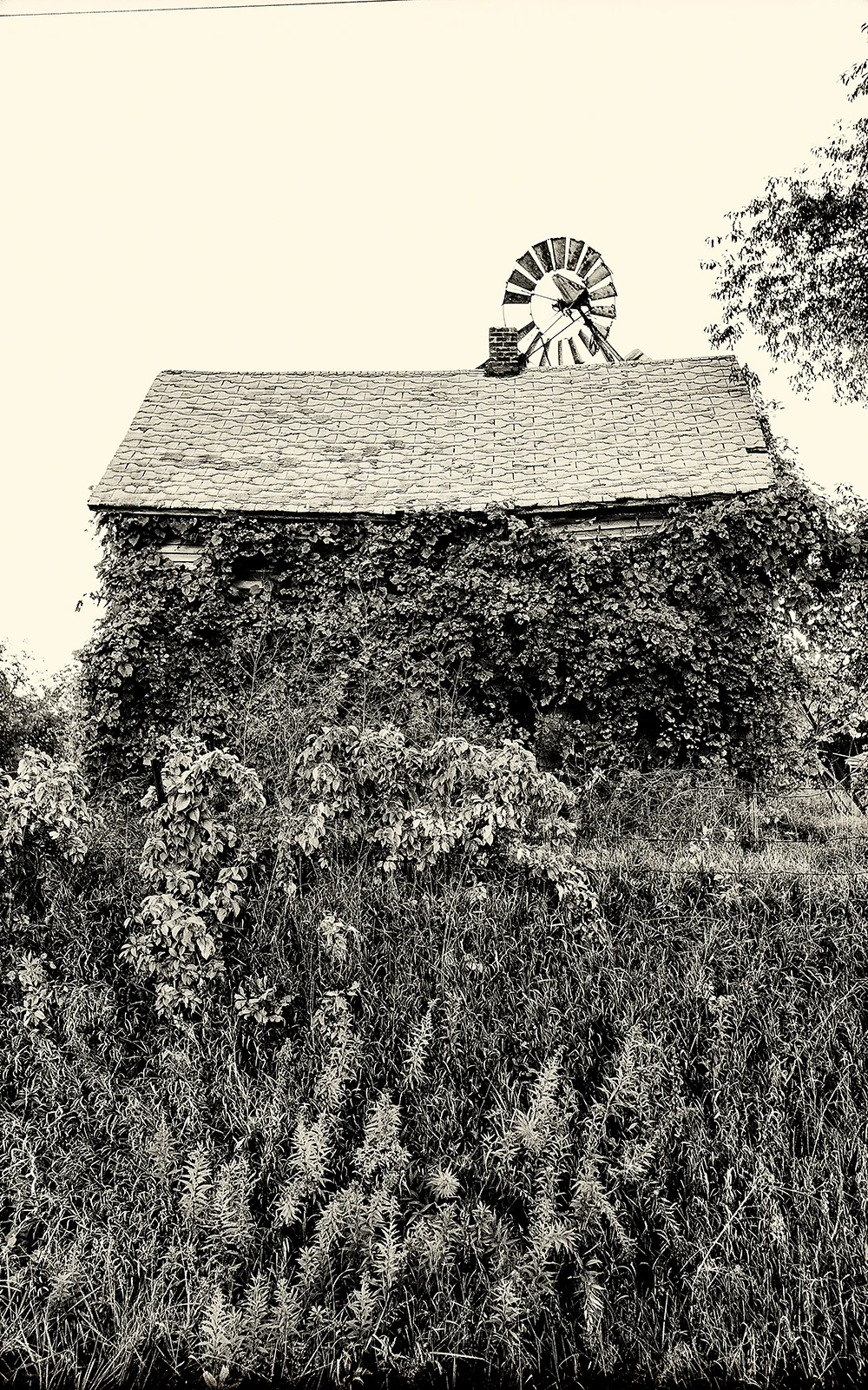 windmillhouseside.jpg