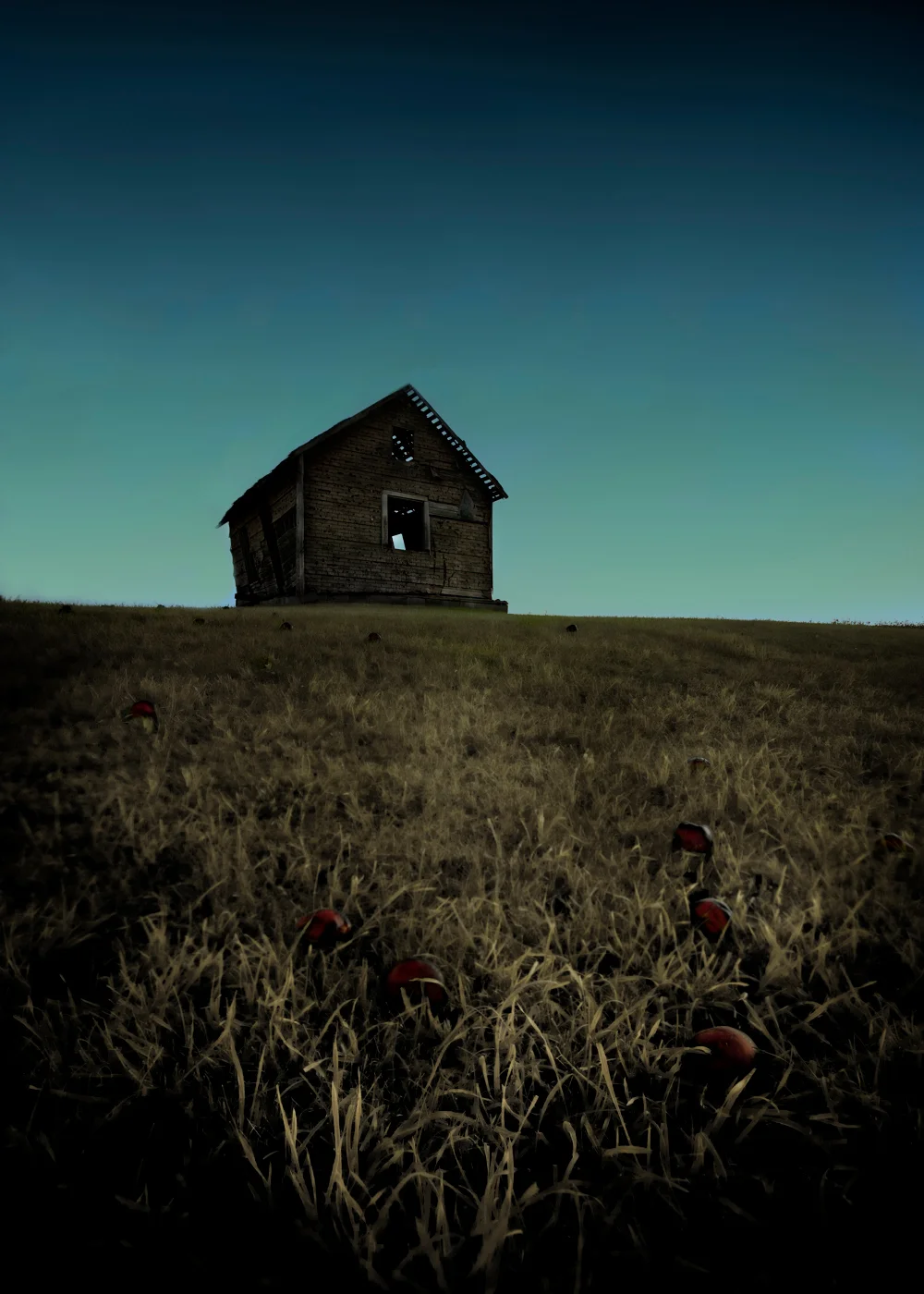 applesoldhouse.jpg