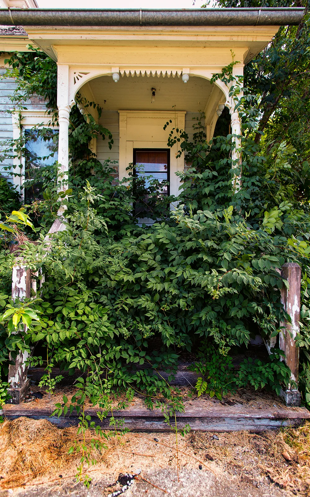 vineporch.jpg