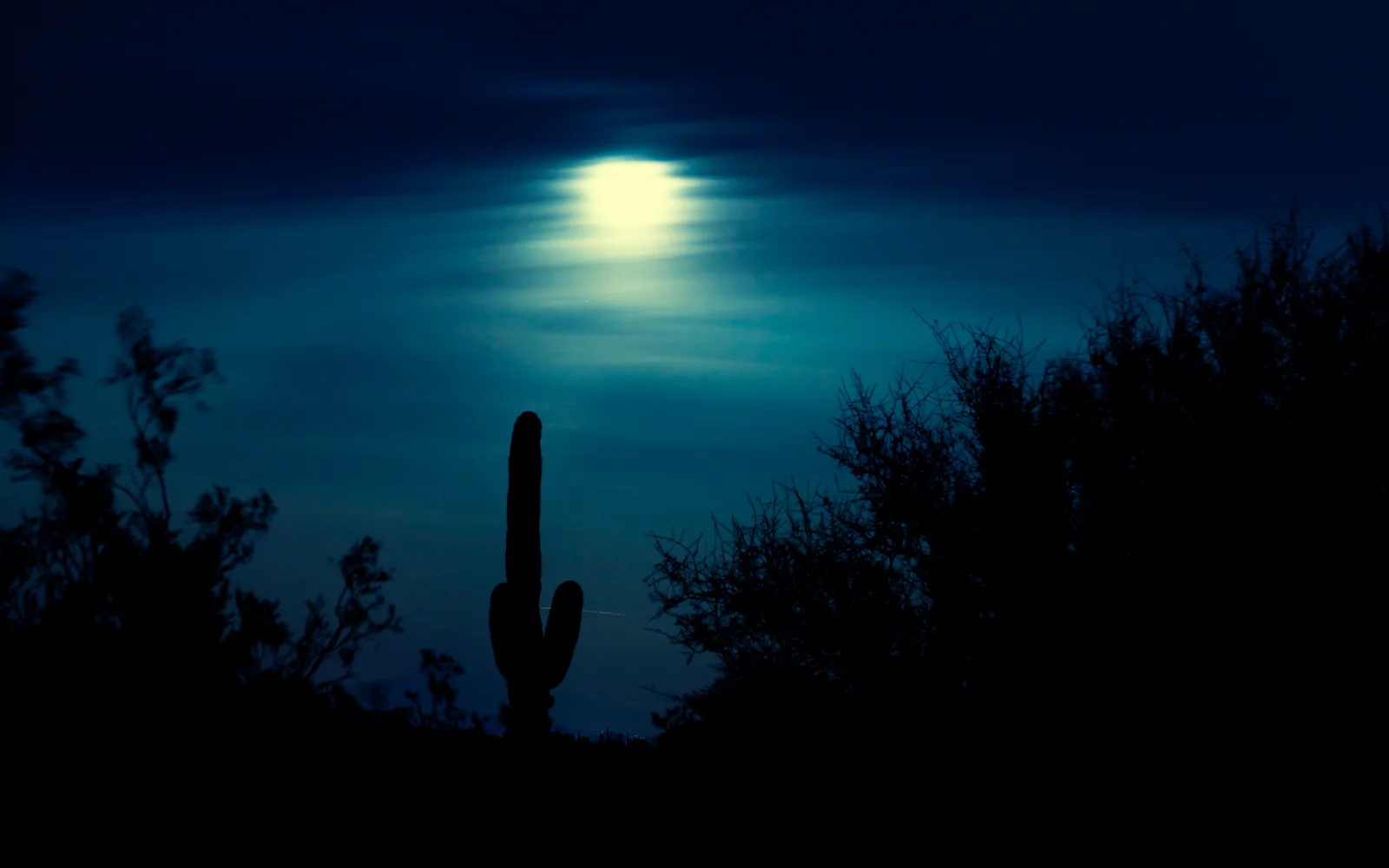 azsupermoon.jpg