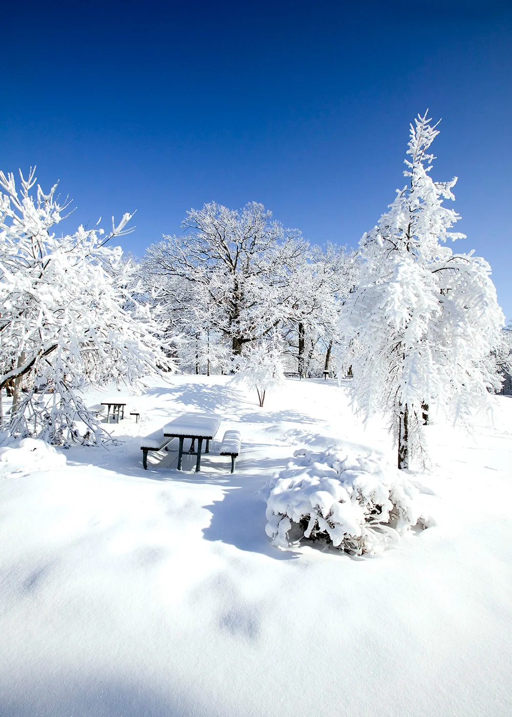 picnictablesnow.jpg