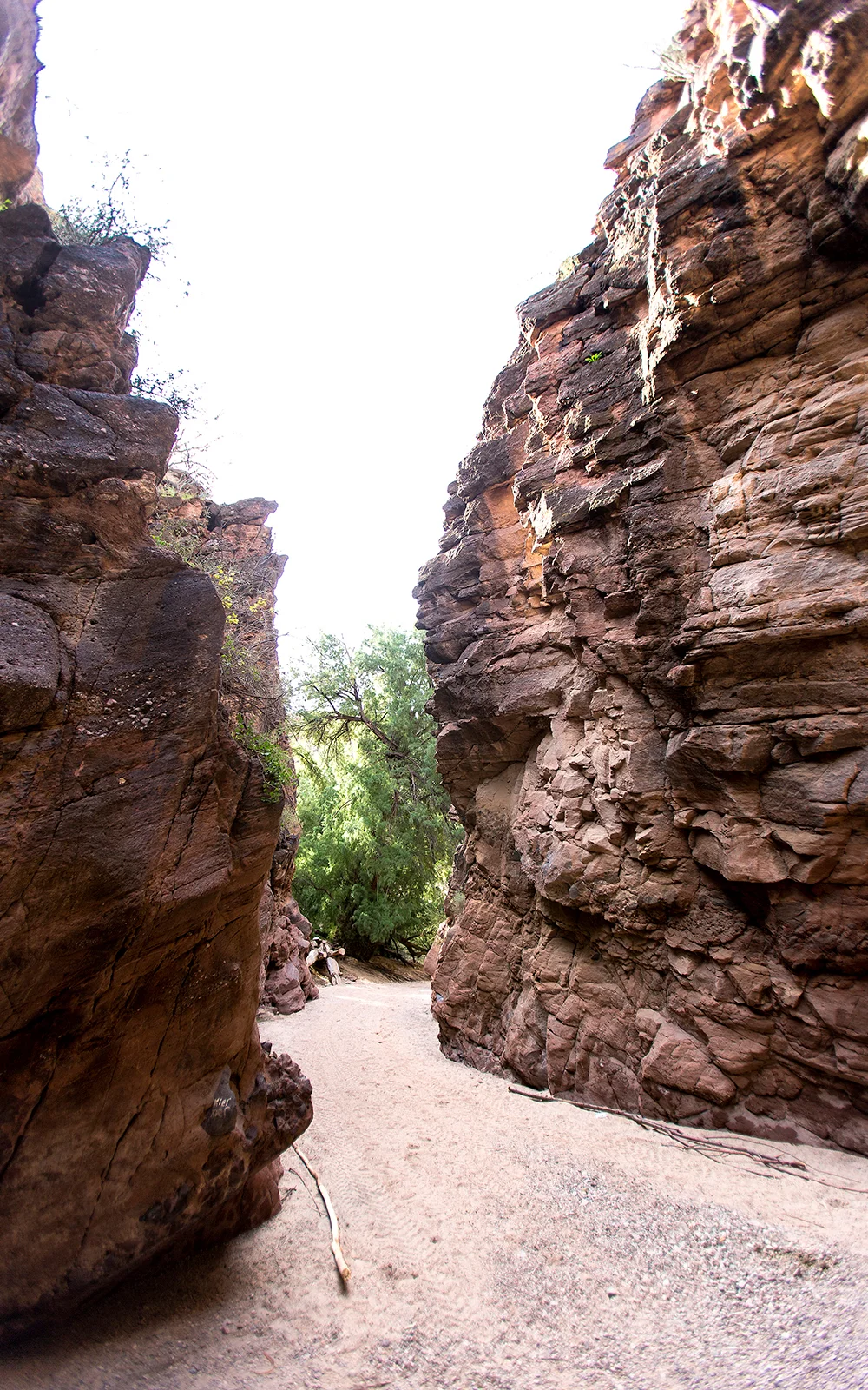hassaslotcanyon3.jpg