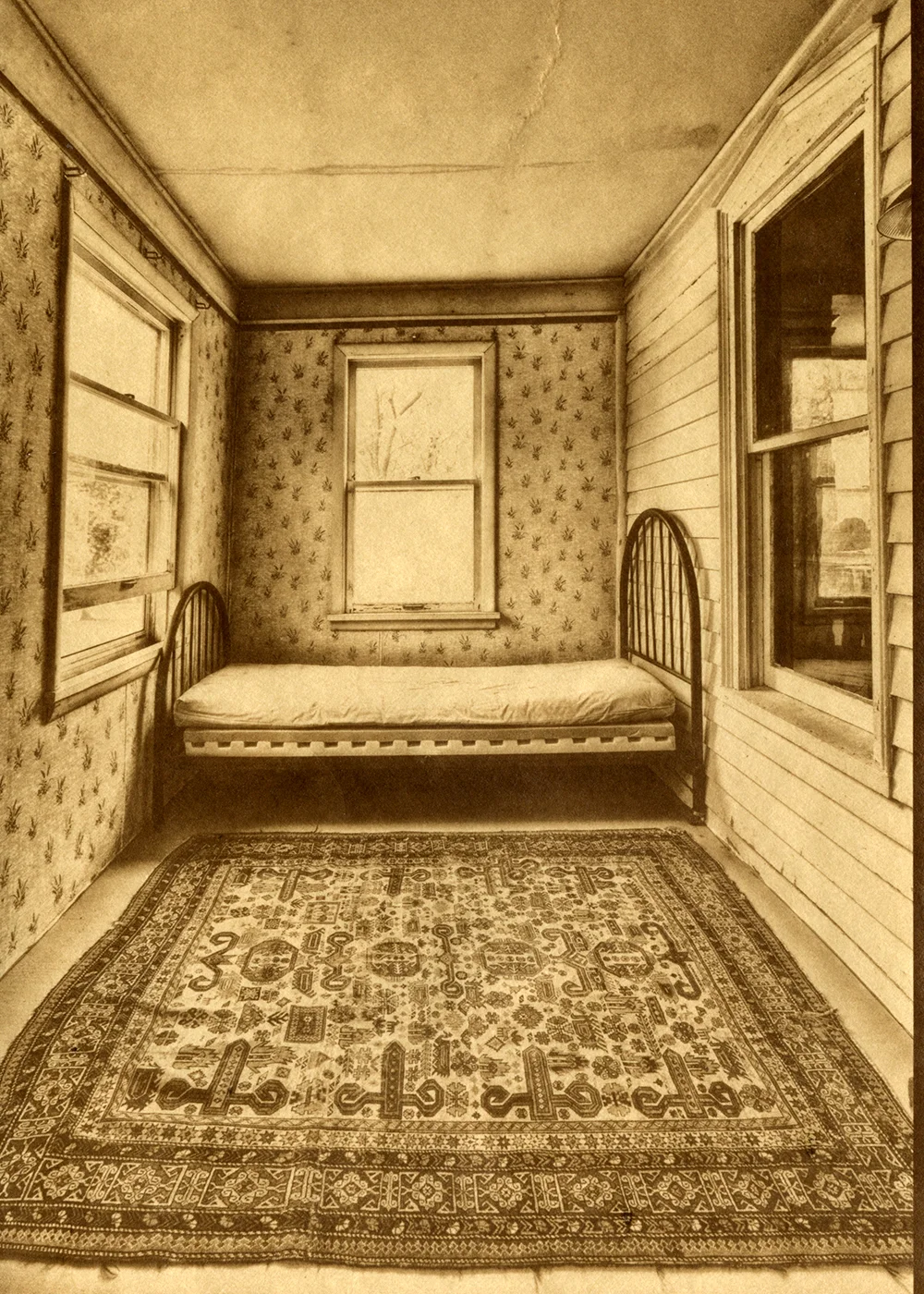 Albumen - Selenium Toning
