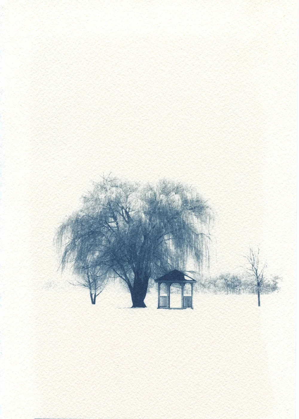 Cyanotype on Rives 310gm