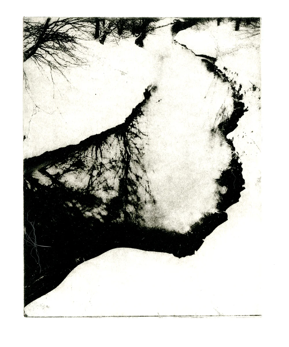 Polymer Photogravure