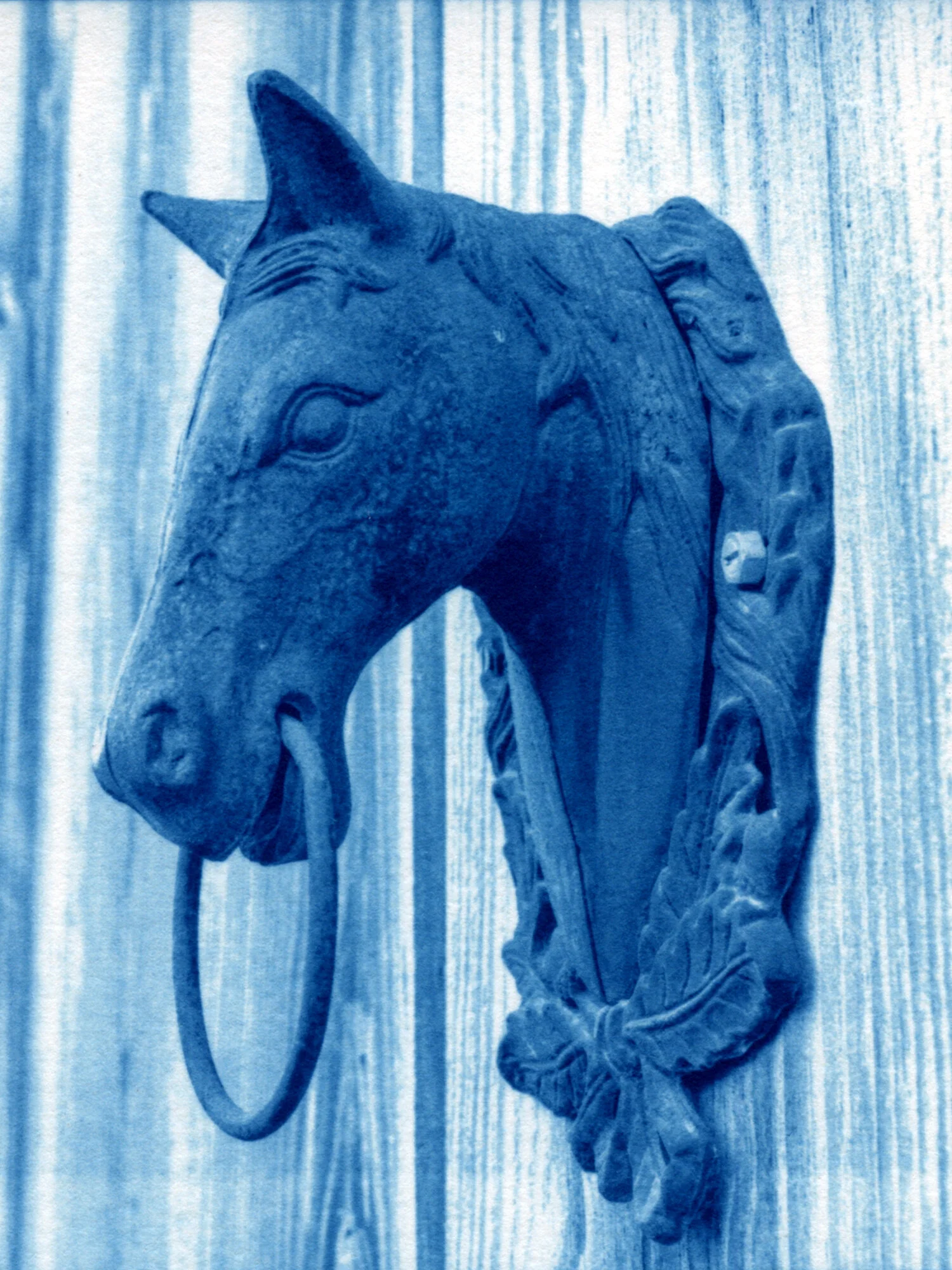 HorseHeadRing.jpg