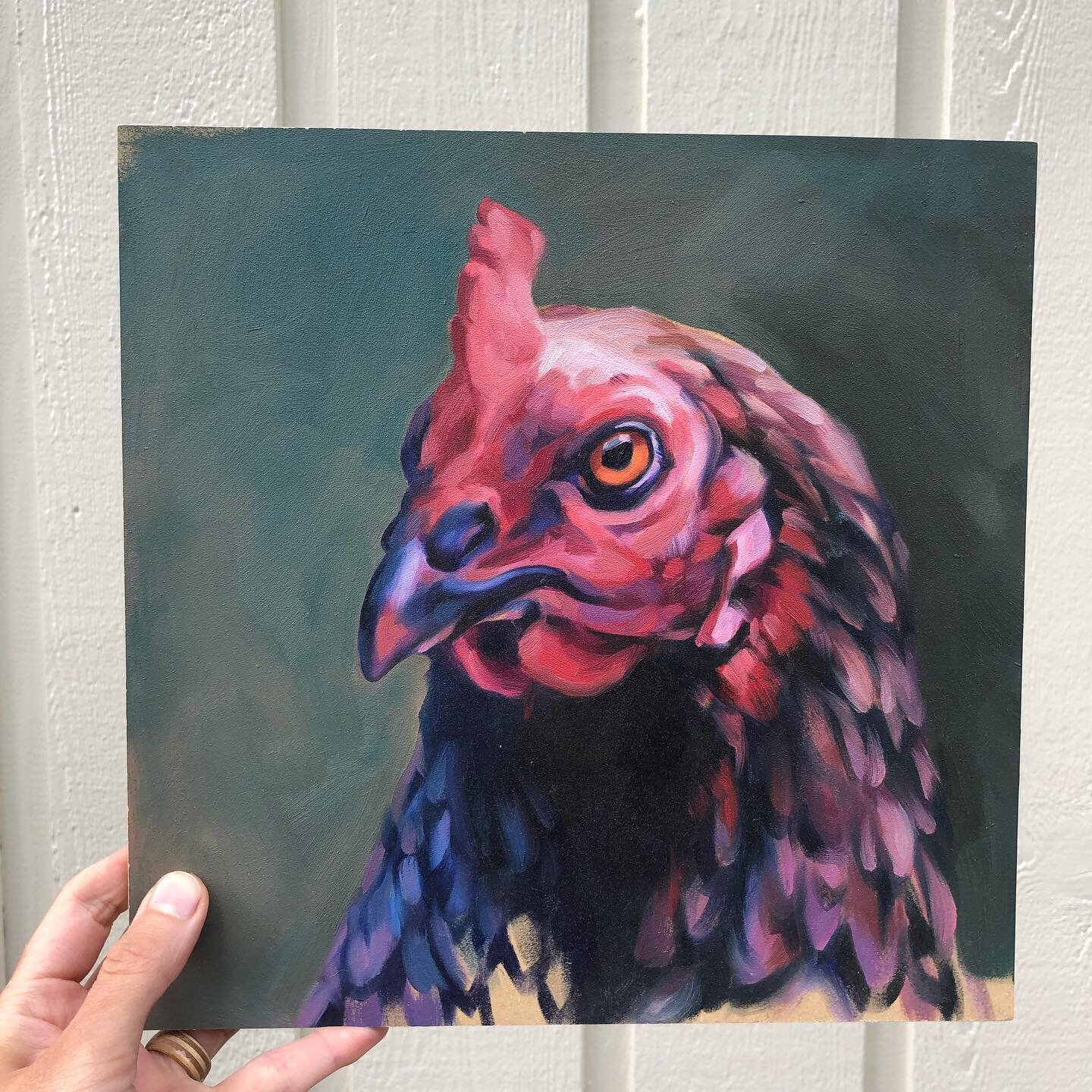Every kitchen needs an angry chicken to remind guests who&rsquo;s in charge. 

Https://www.stanleycaroline.com/studies/15