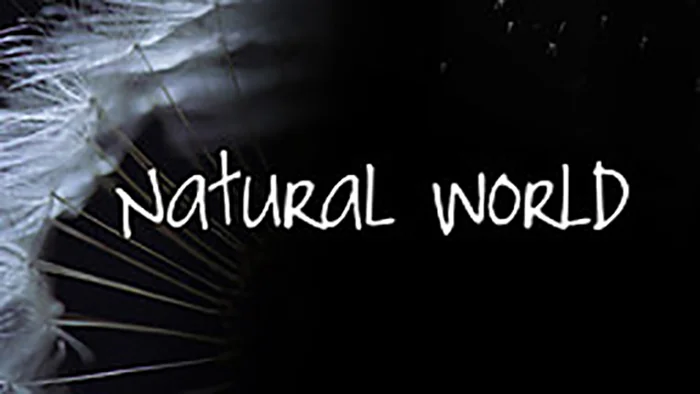 Natural-World.jpg