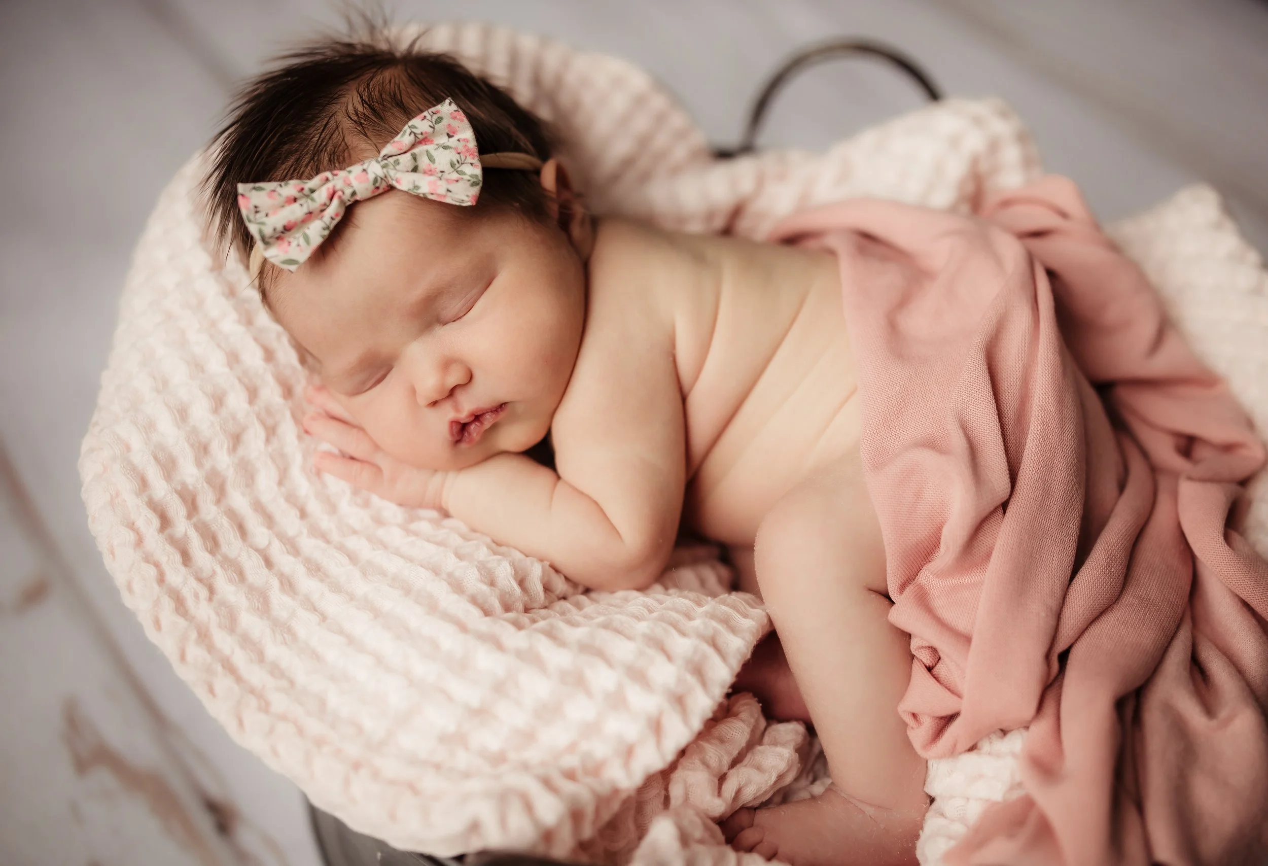 Newborn Session $350