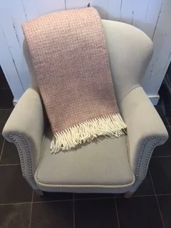 Illusion raspberry.jpg