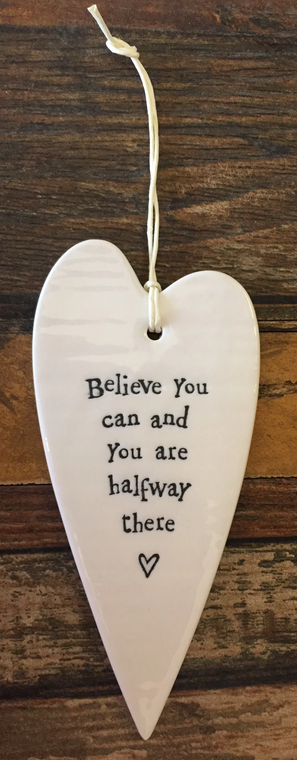believe you can.jpg