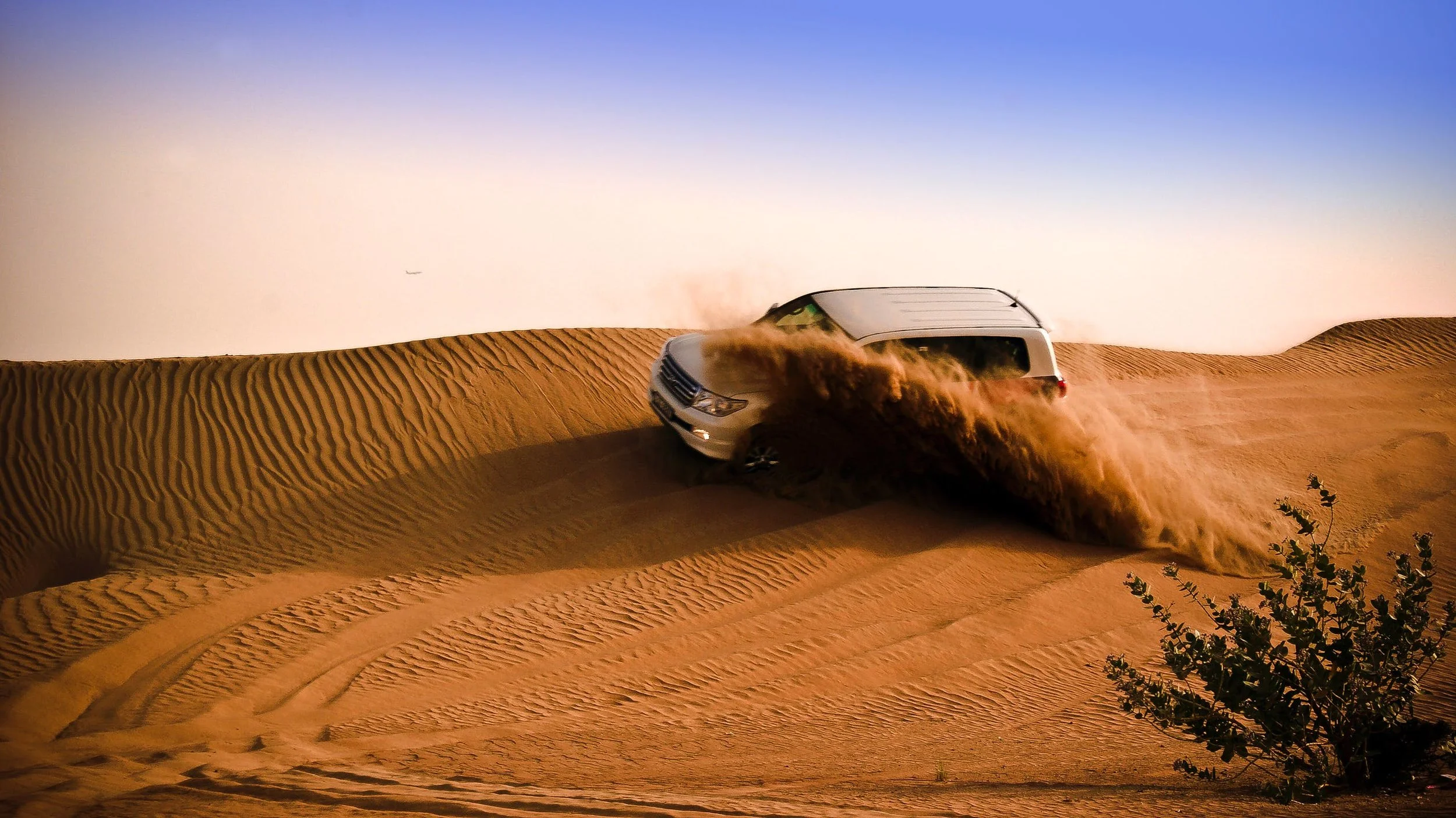Desert SVU tour