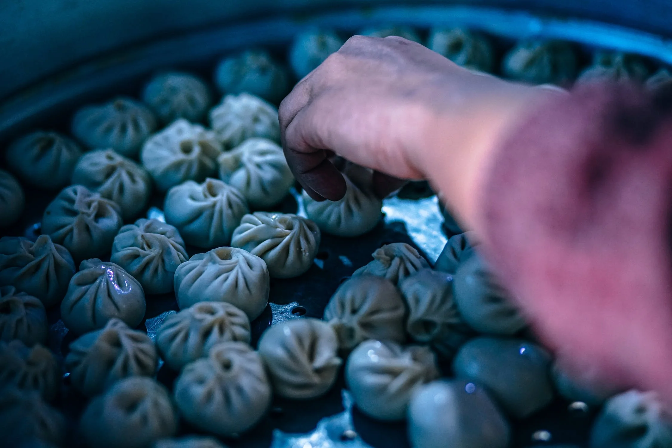 Chinese Dumplings