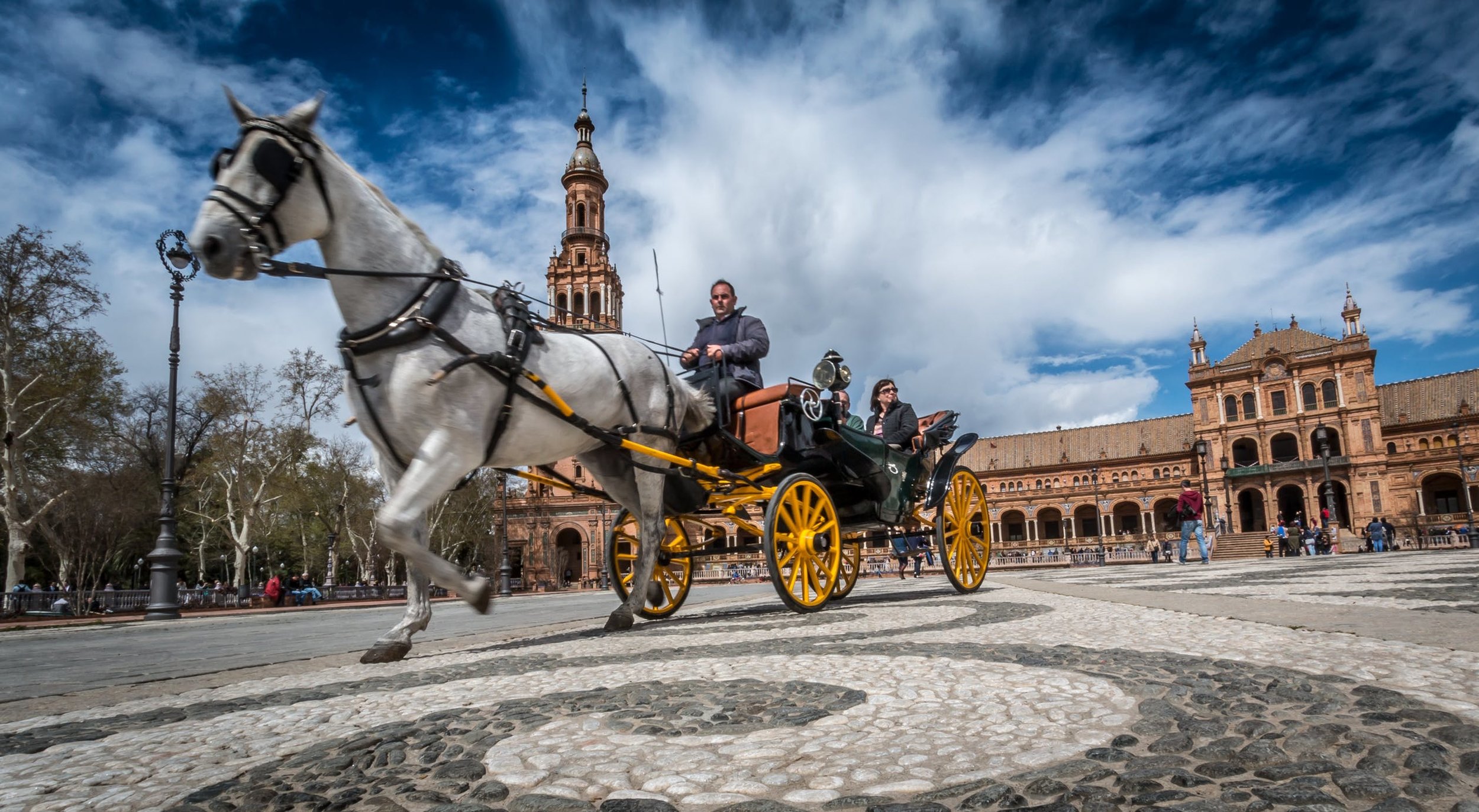 sevilla-horse-spain-tourism-162042.jpeg