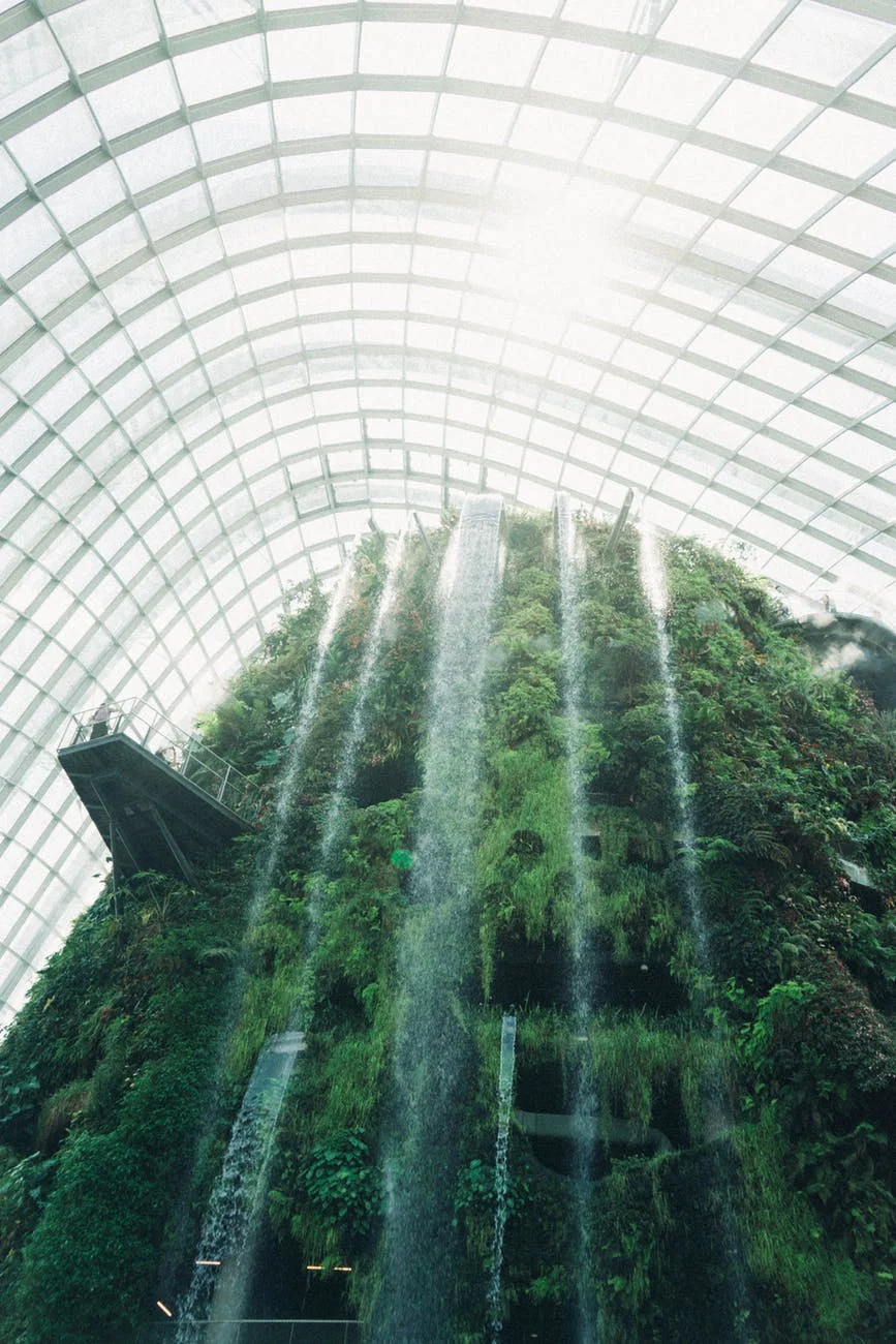 Botanical Garden Singapore