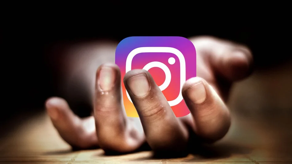 Follow FAsucculents FAsuccs on Instagram