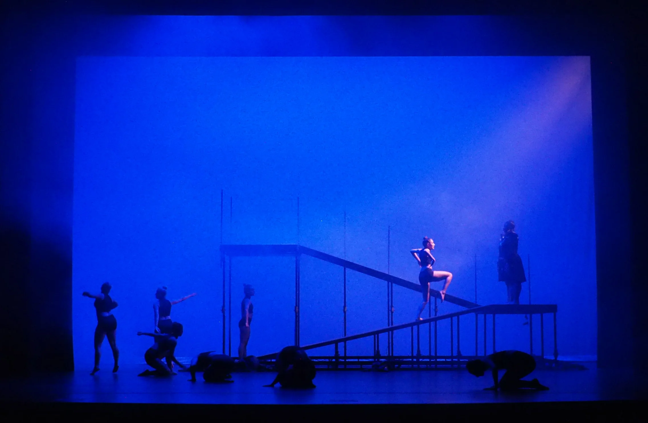P2220787.JPG