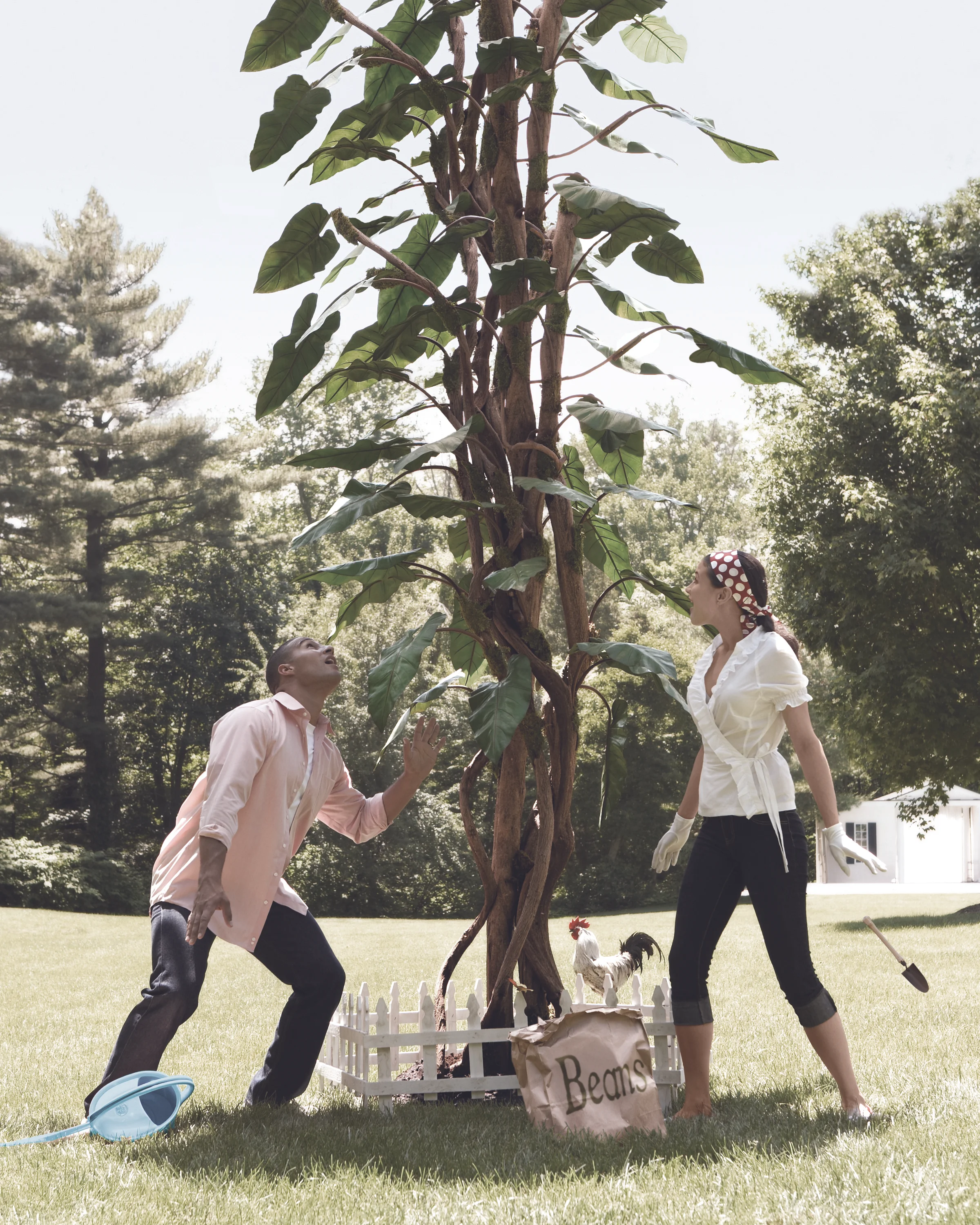 Beanstalk_new.jpg