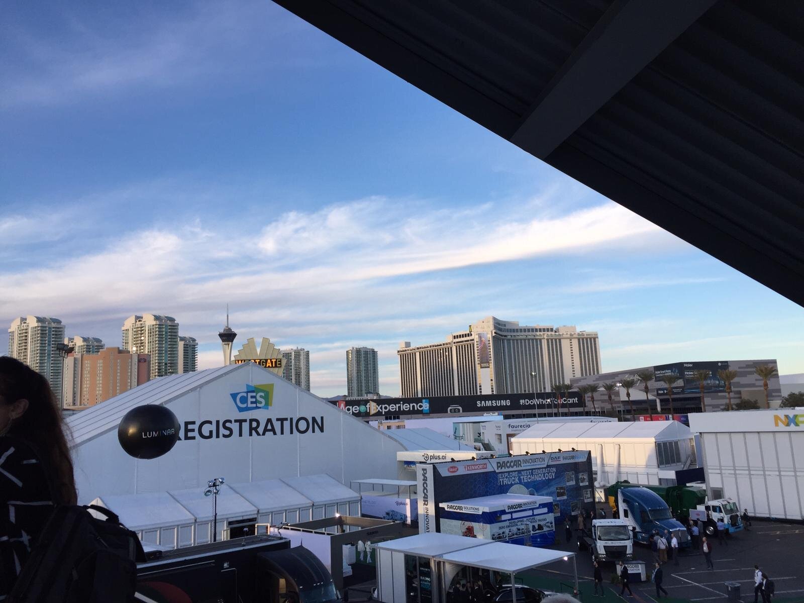 MV Risk Modeling at #CES2020