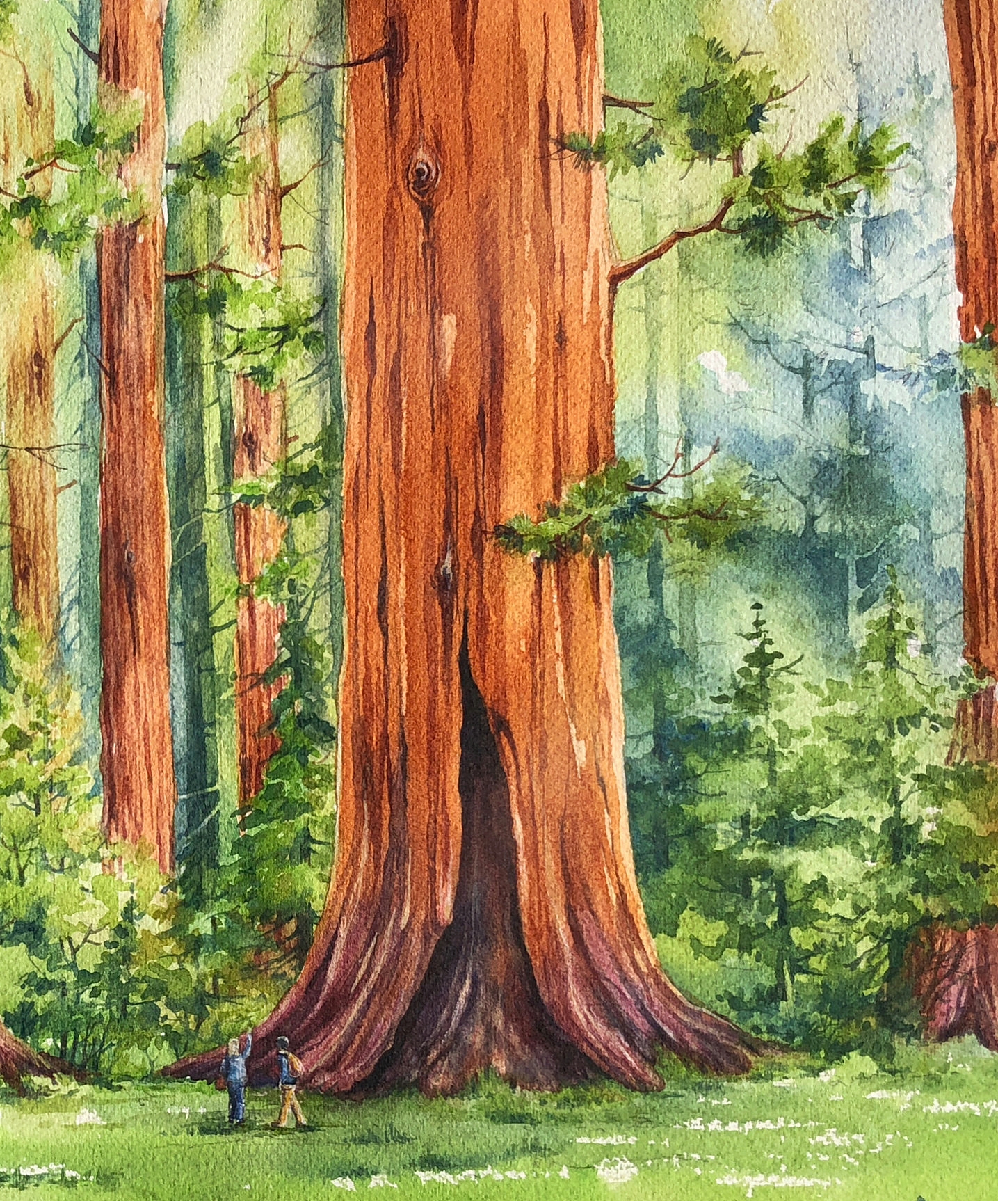 Sequoias_trimmed1.jpg